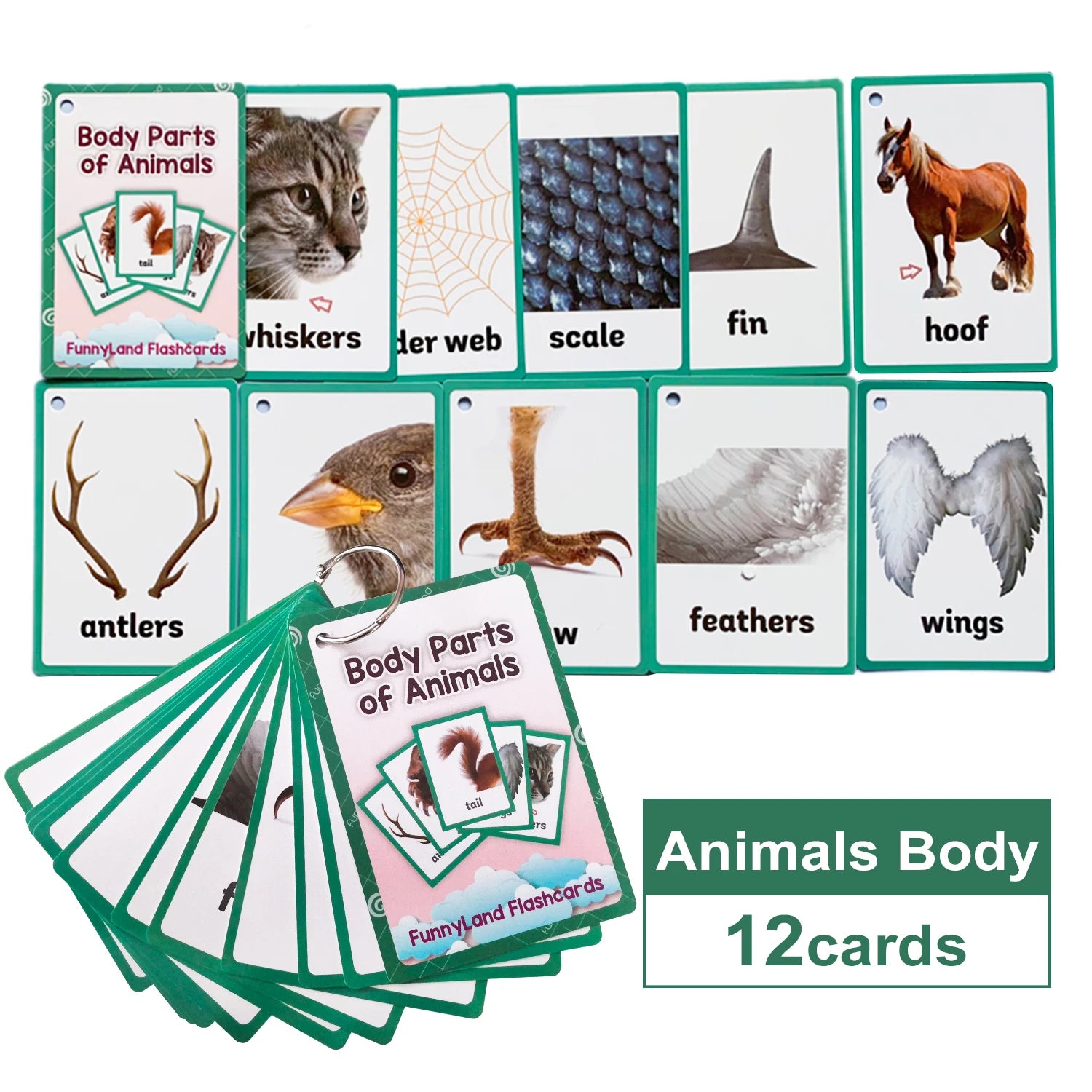 Kids Montessori English Word Flashcards