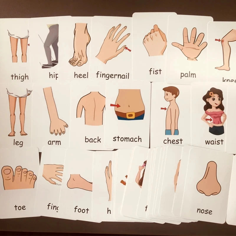 Montessori Kids English Learning Flashcards