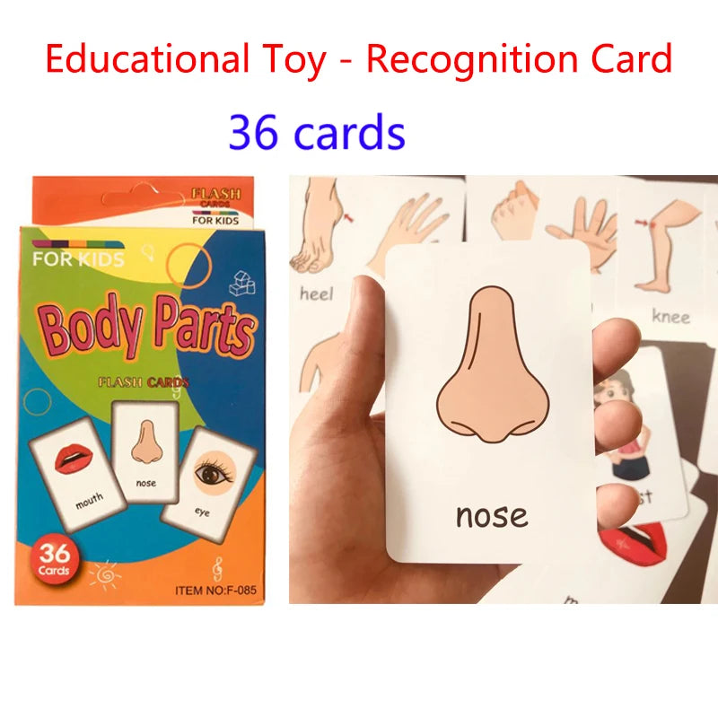 Montessori Kids English Learning Flashcards