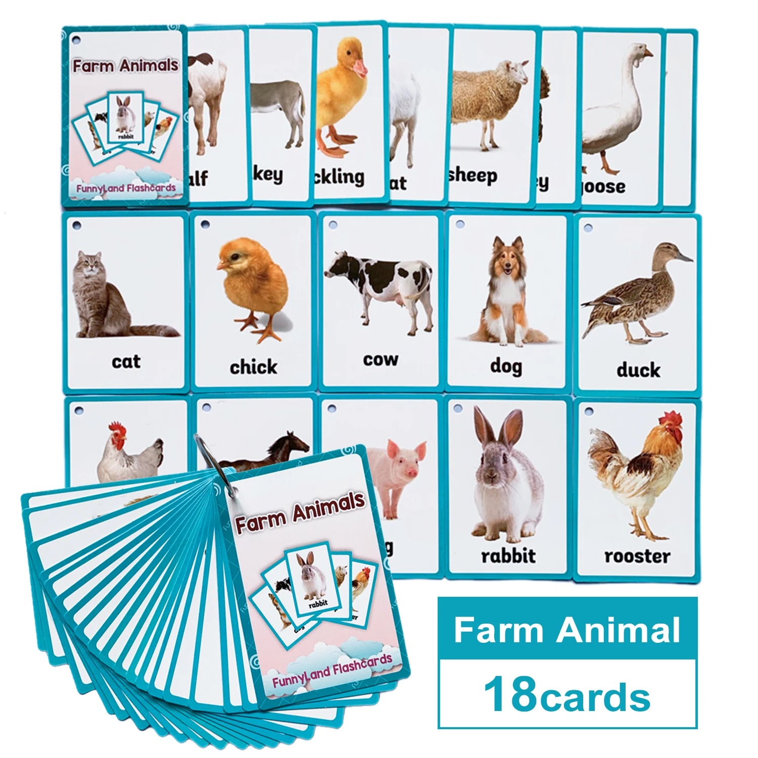 Kids Montessori English Word Flashcards