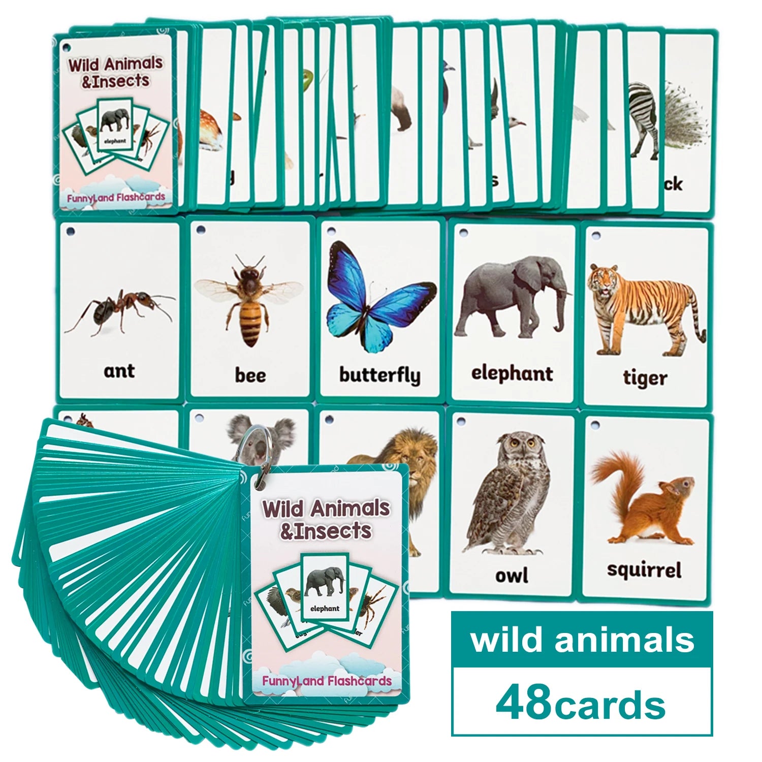 Kids Montessori English Word Flashcards