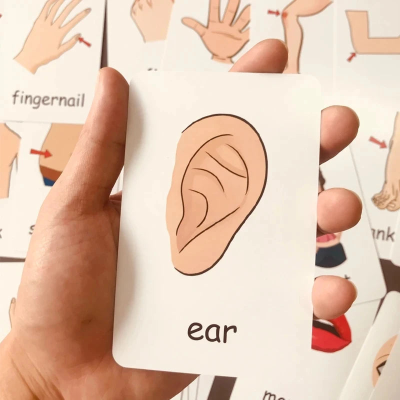 Montessori Kids English Learning Flashcards