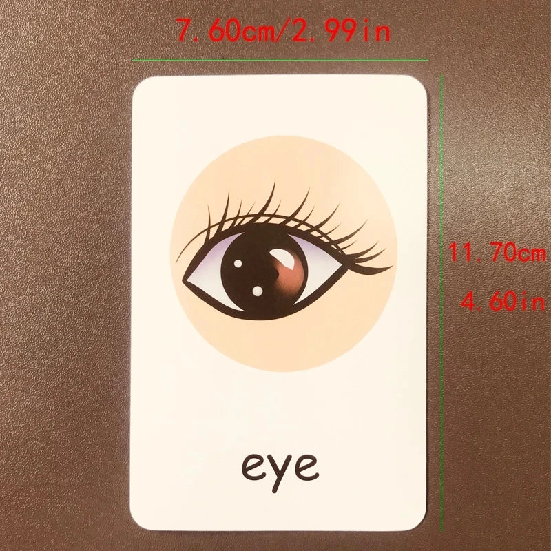 Montessori Kids English Learning Flashcards