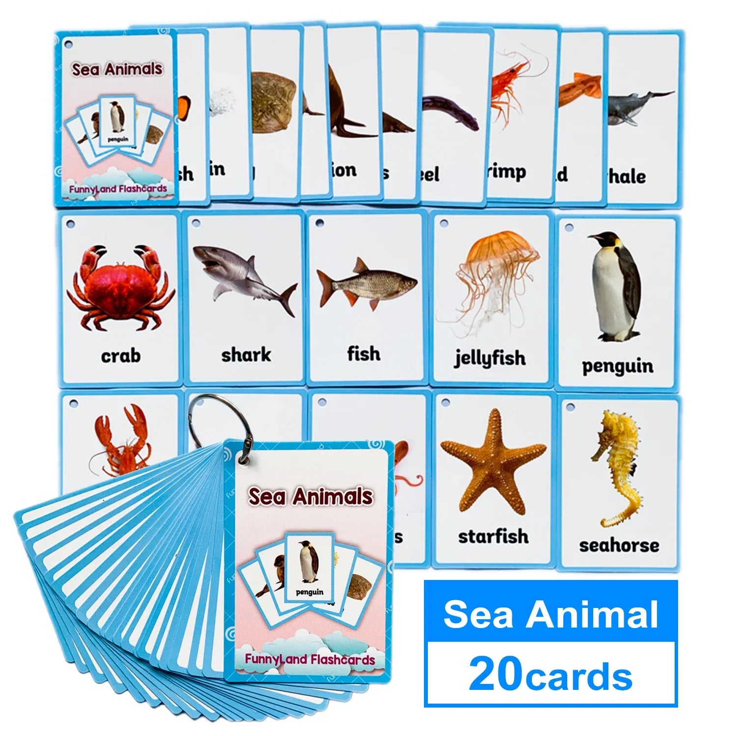 Kids Montessori English Word Flashcards