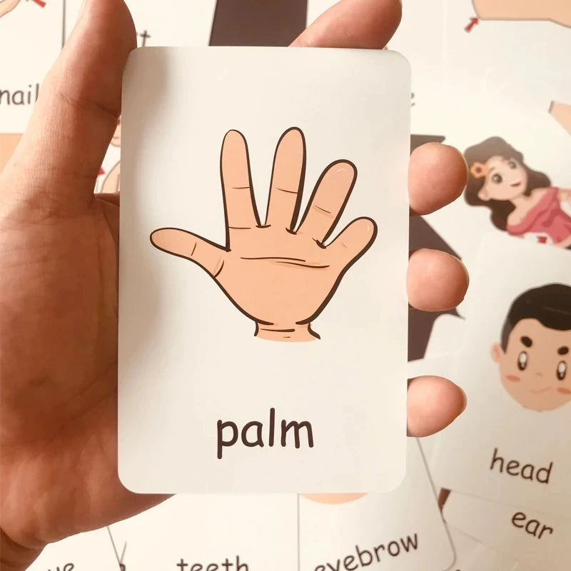 Montessori Kids English Learning Flashcards