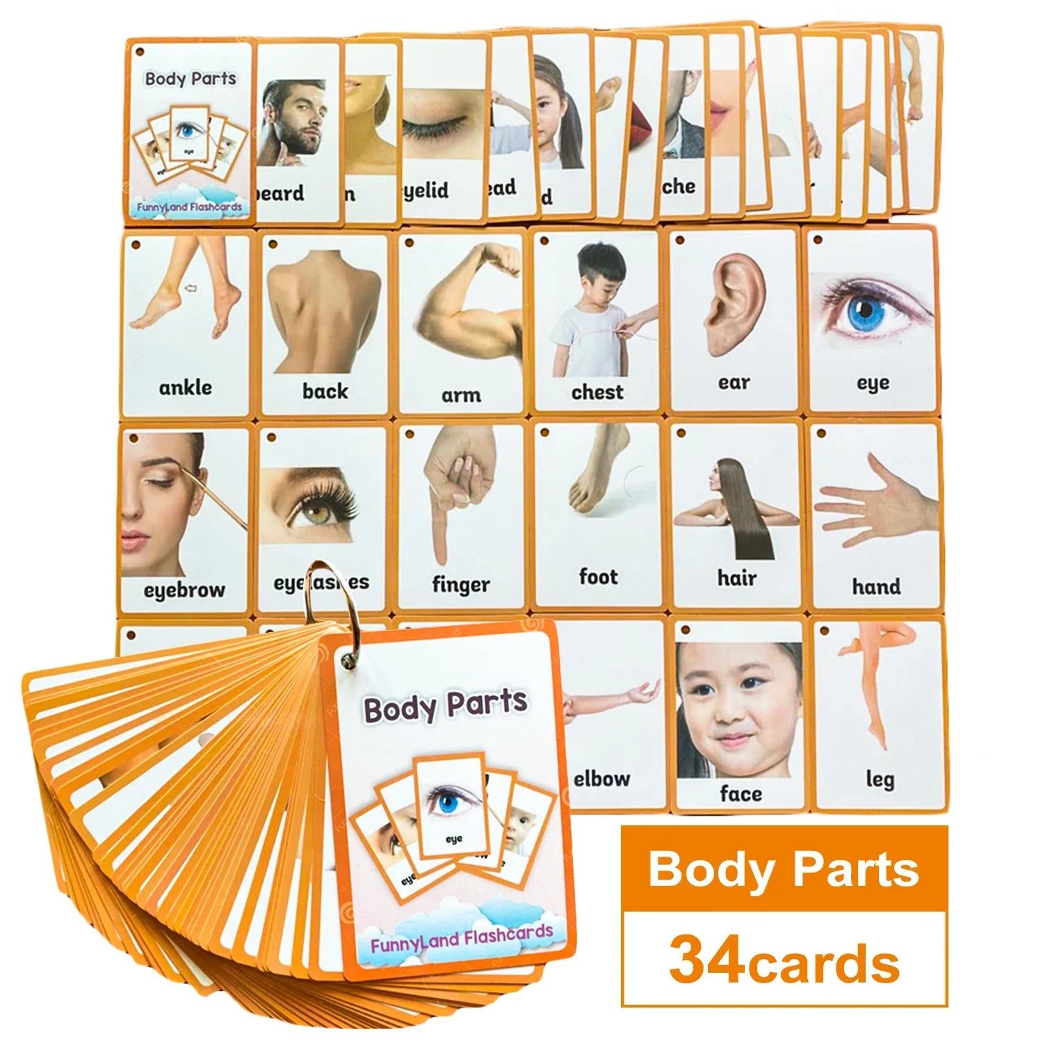 Kids Montessori English Word Flashcards